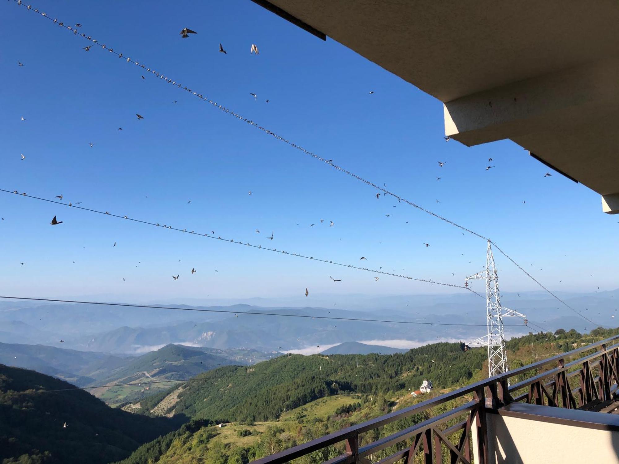 Milmari M12 Apartment Kopaonik Luaran gambar
