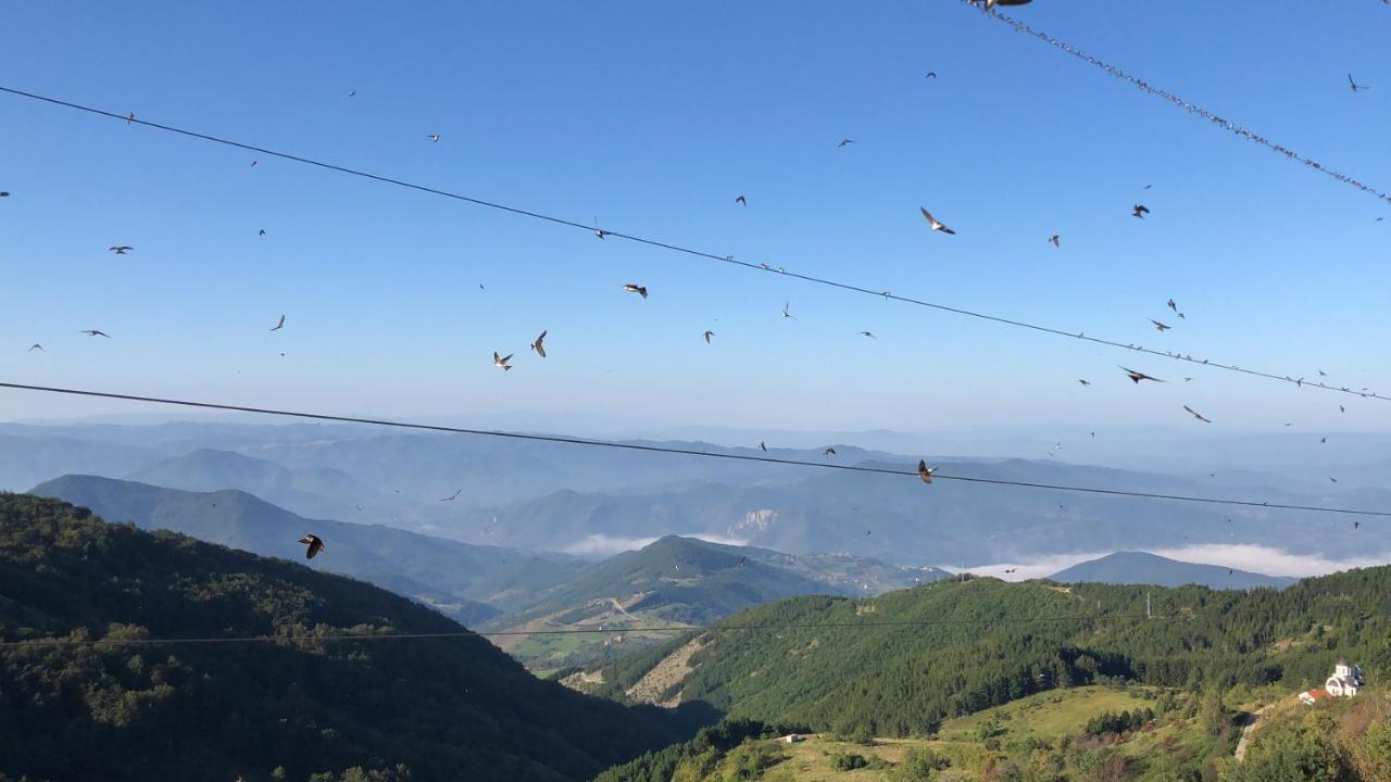 Milmari M12 Apartment Kopaonik Luaran gambar
