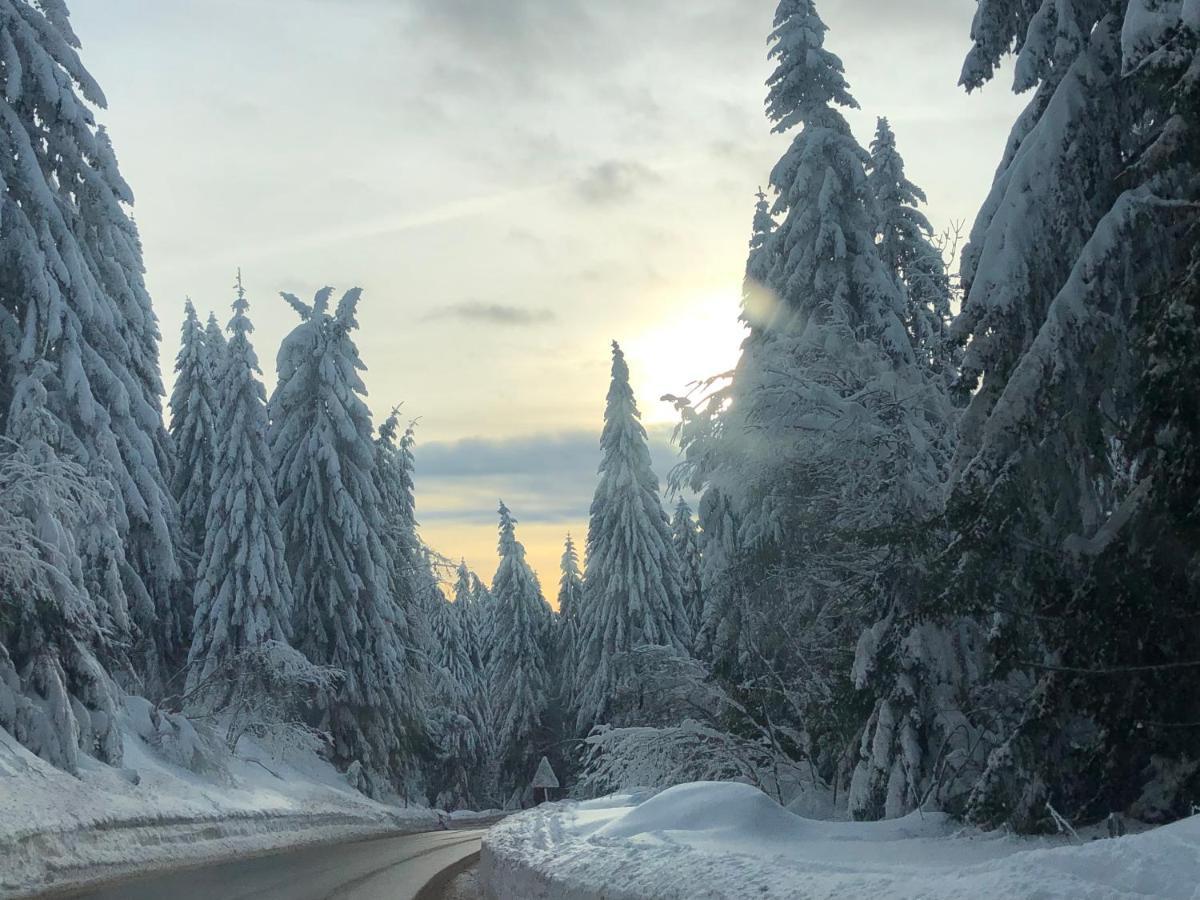 Milmari M12 Apartment Kopaonik Luaran gambar