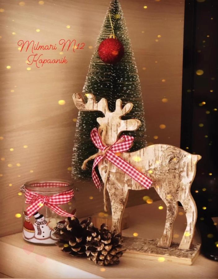 Milmari M12 Apartment Kopaonik Luaran gambar