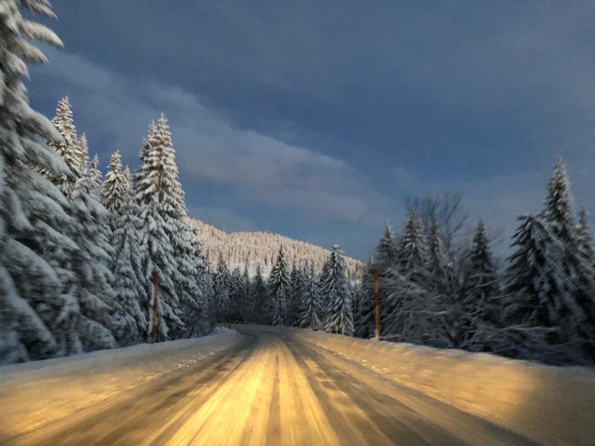 Milmari M12 Apartment Kopaonik Luaran gambar
